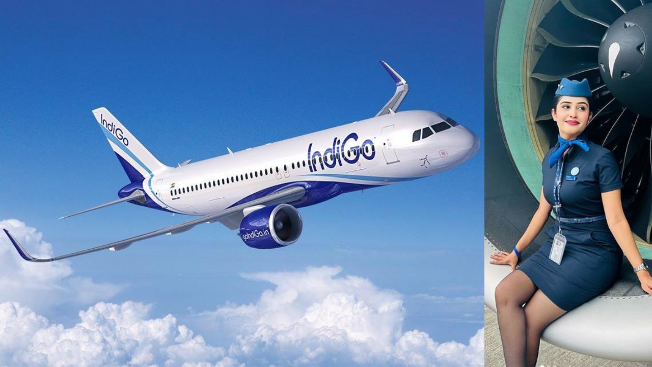 Indigo Airlines Cabin Crew
